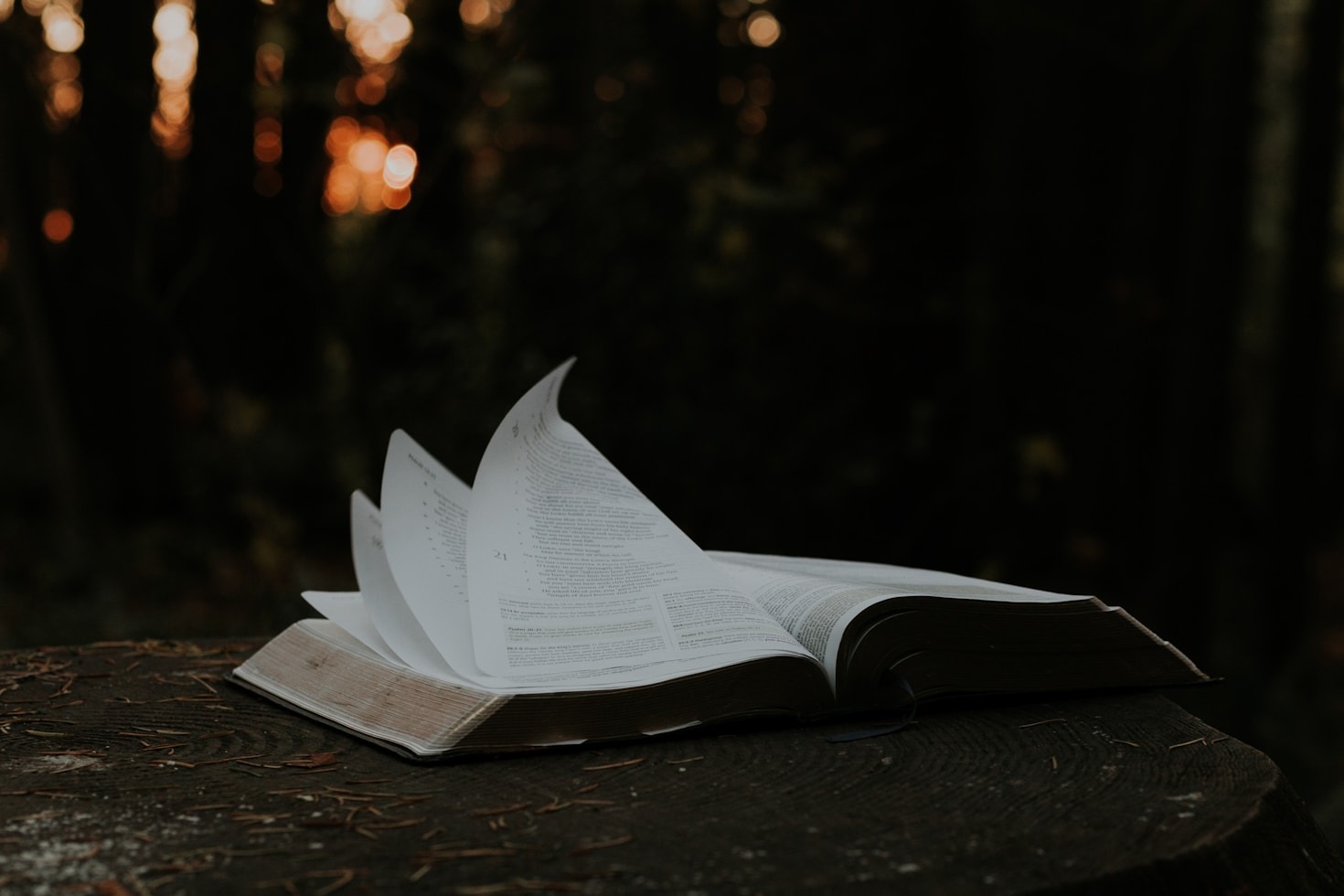 Die Philosophie hinter Alisa Bachs Leitspruch